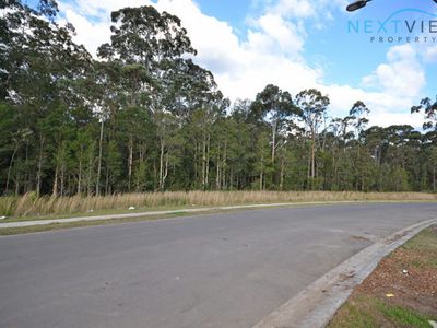 115 Sunningdale Circuit, Medowie