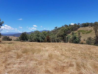 . Bullhead Road, Mitta Mitta