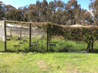 150 Yellow Box Road, Tallarook