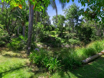 661 Palmwoods-montville Rd, Montville