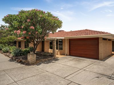 163 Rostrata Avenue, Willetton