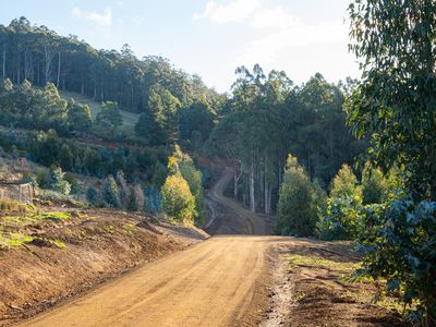 Lot 6 Paddys Lane, Franklin