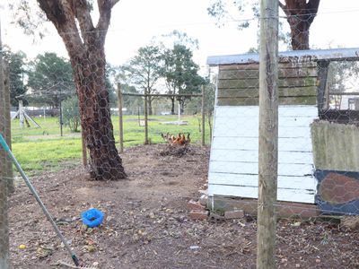 381 Warrowitue-Forest Road, Heathcote