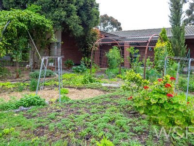 4 Ebor Crescent, Aberfoyle Park