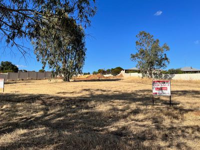 Lot 40 & 42, Goomalling, Northam