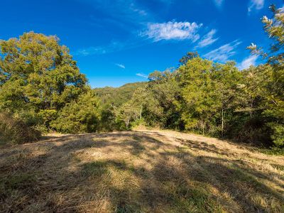 399 Bishops Creek Road, Coffee Camp