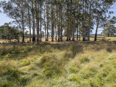 42 Hermons Road, Geeveston