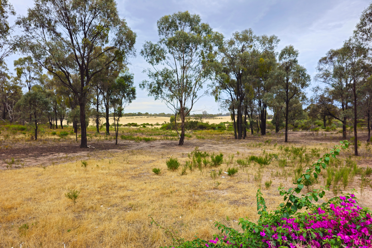 Lot 98 Middle Road, Rushworth