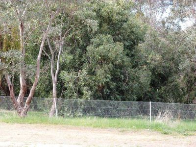Lot 721, Forest Drive, Thurgoona