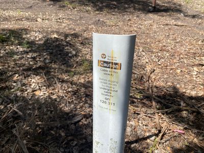 87 Middleton Close, Shadforth