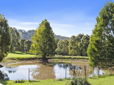 3 Lavender Farm Road, Tolmie