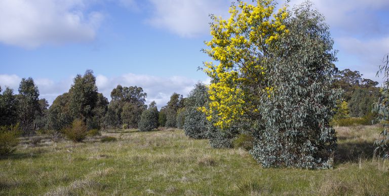 McRoberts Road, Locksley