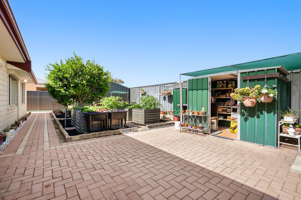 17 Bettong Street, Baldivis