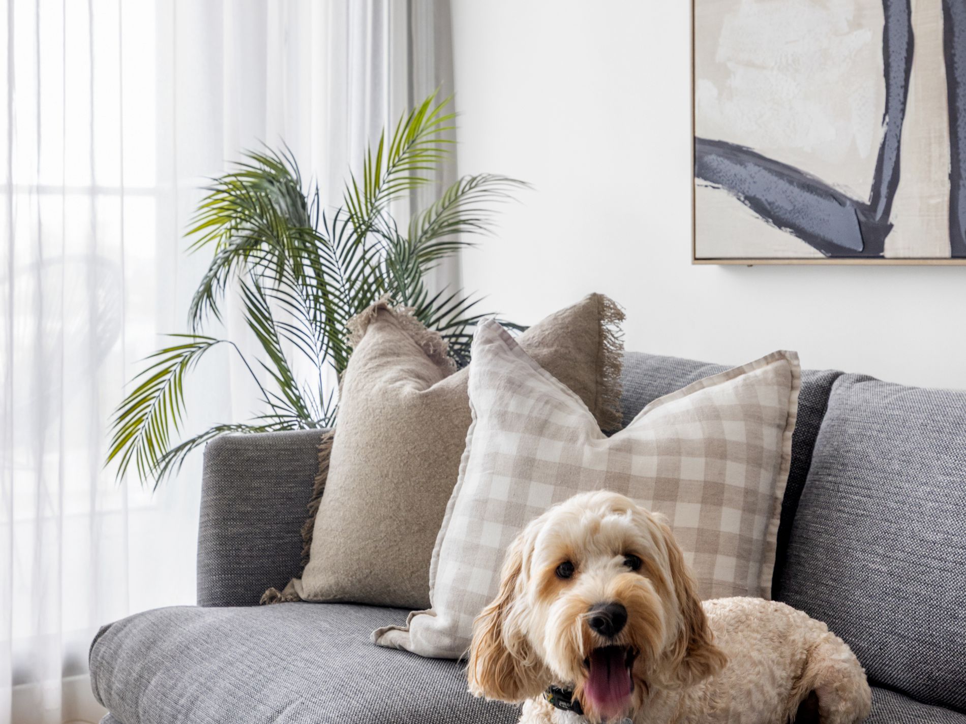 503 / 25 Windsor Terrace, Williamstown