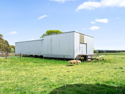 1444 Hoskinstown Road, Hoskinstown