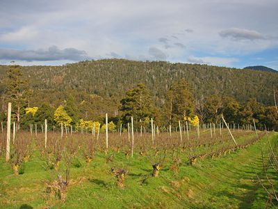 Lot 1, 1529 Huon Highway, Lower Longley