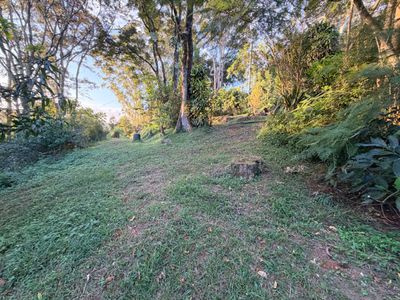 2448 Dunoon Road, Rosebank