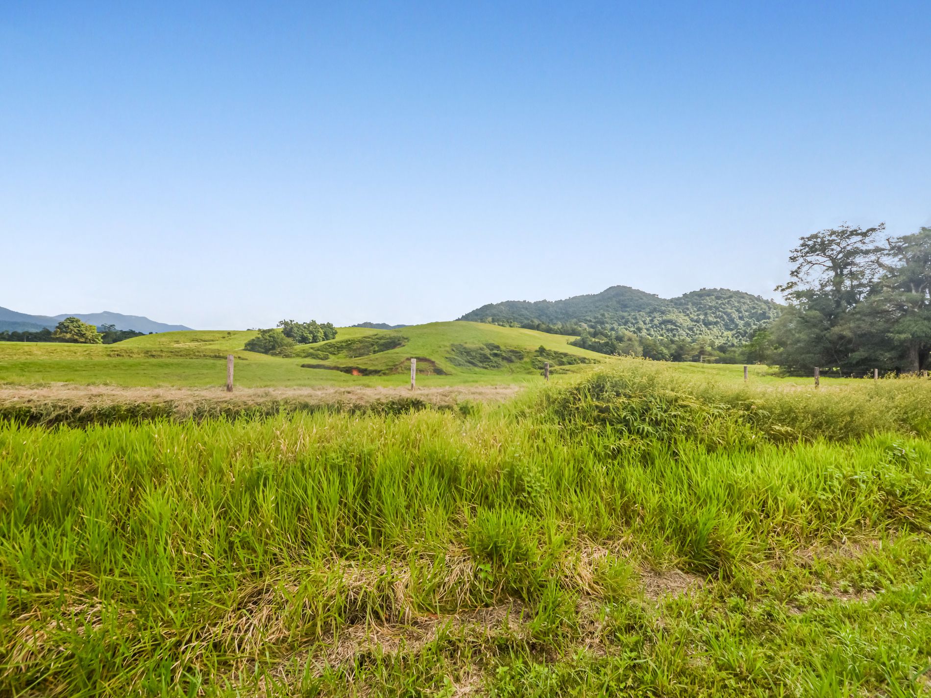 67 Innisfail Japoon Road, Japoonvale