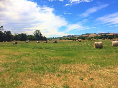 Lot 1, 530 Maroondah Highway, Merton