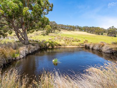 1004 Cygnet Coast Road, Wattle Grove