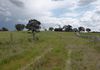 Lot 8, Amaroo Road, Borenore