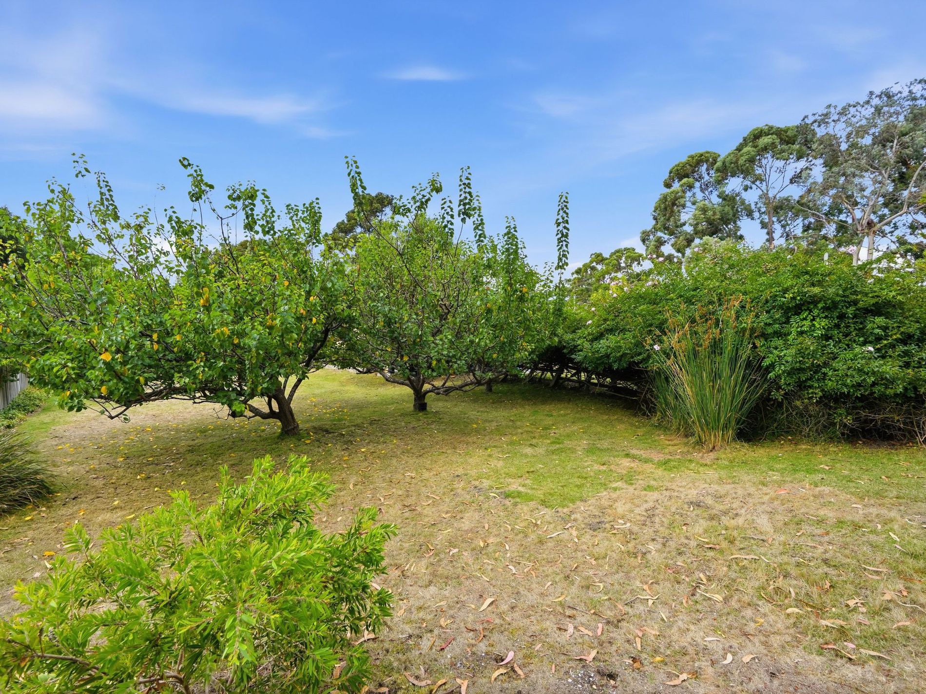 92 Flakemores Road, Eggs And Bacon Bay