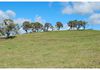 4925 Mitchell Highway, Orange