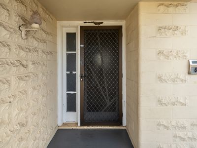 6 Napoleon Street, Youngtown