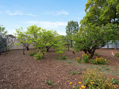 19 Dumbarton Avenue, Edwardstown