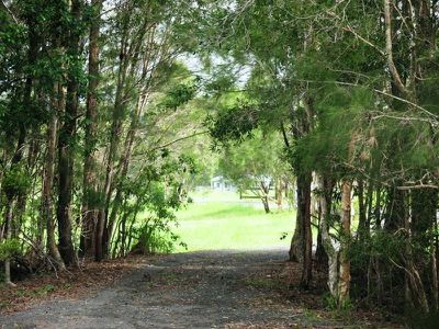 76 Eucalypt Way, Cootharaba