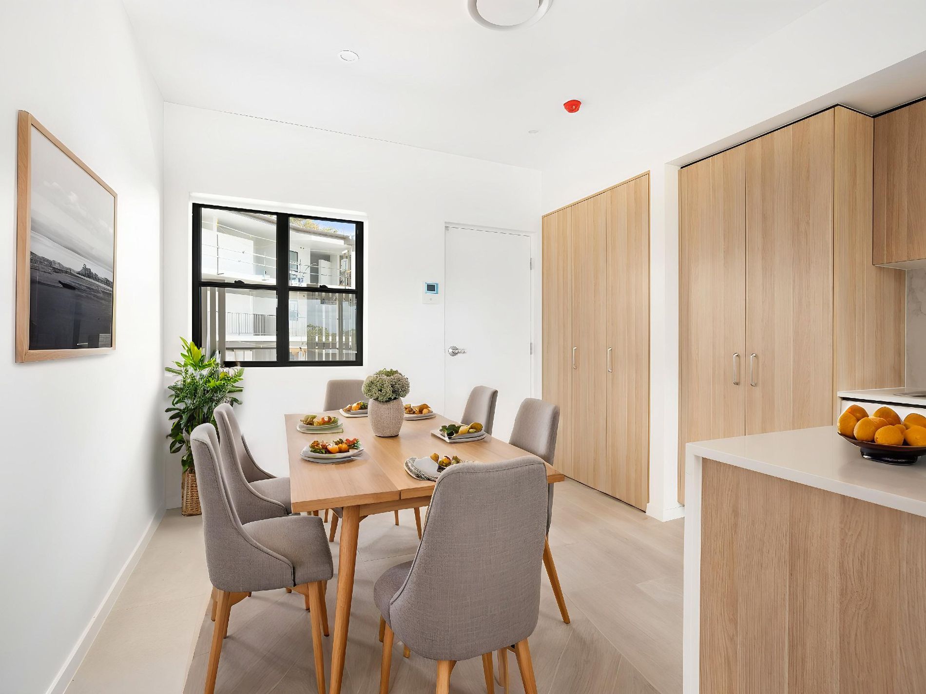 49 / 6 KOEL, Peregian Springs