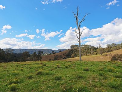 159 Wards Creek Road, Krambach