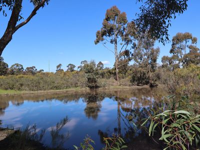 LOT 5  LOT 5  Tait Hamilton Road, Cornella