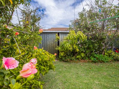8 Jipse Crescent, East Bunbury