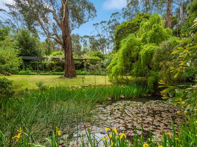 12 Salisbury Road, Mount Macedon