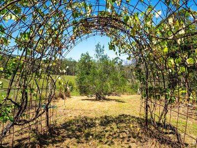 499 Avalon Road, Dyers Crossing