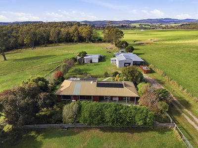 112 Back Creek Road, Pipers River
