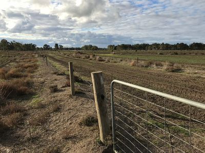46 Browning Avenue, Murrabit