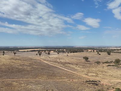117 Hillside Lane, Parkes