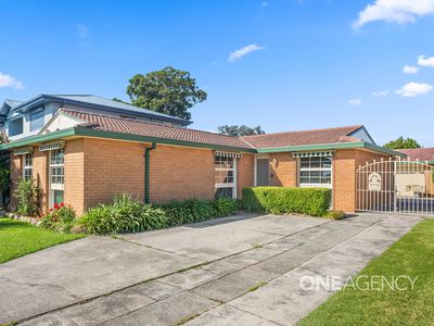 13 Boronia Avenue, Albion Park Rail