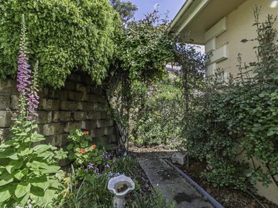 7 Plum tree Close, Huonville