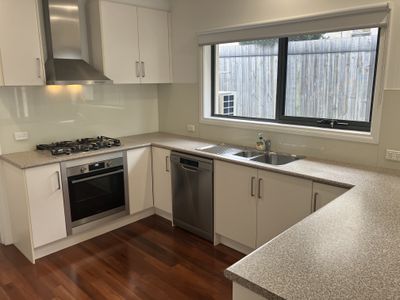 1/6 Daisy Street, Newtown