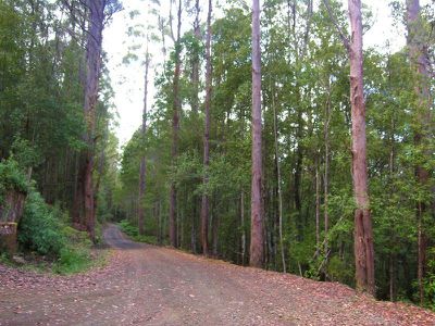 Lot 3 Braeside Road, Franklin