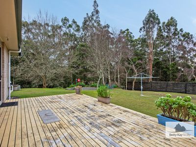  23826  A Bass Highway, Christmas Hills