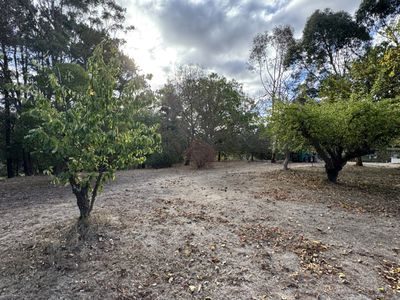 Creswick