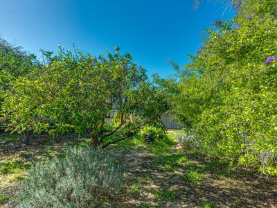 54 Moorpark Avenue, Yanchep