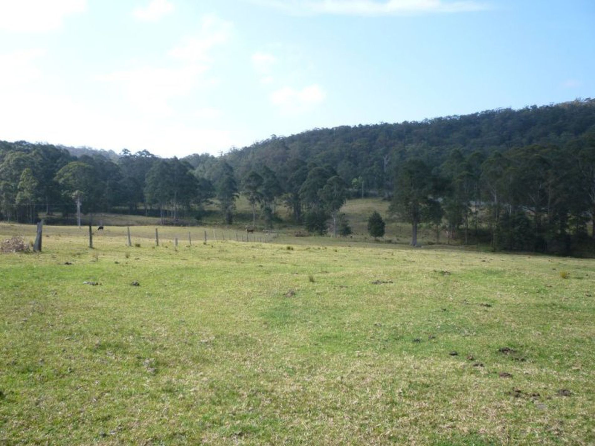 F1560 Princes Highway, Termeil