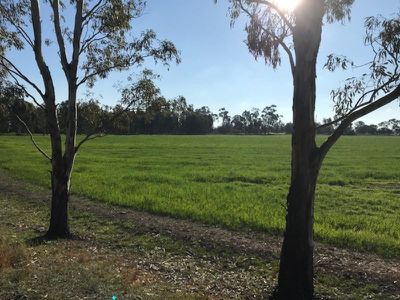 317 Lilford Lane, Barham