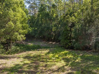 80 Robb Road, Lillian Rock