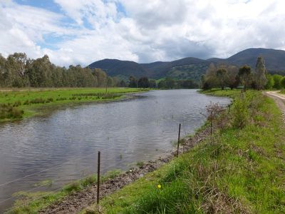 River Road, Jingellic